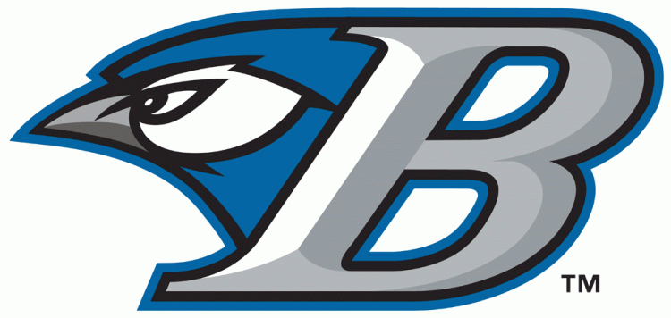 Bluefield Blue Jays 2011 Primary Logo iron on paper